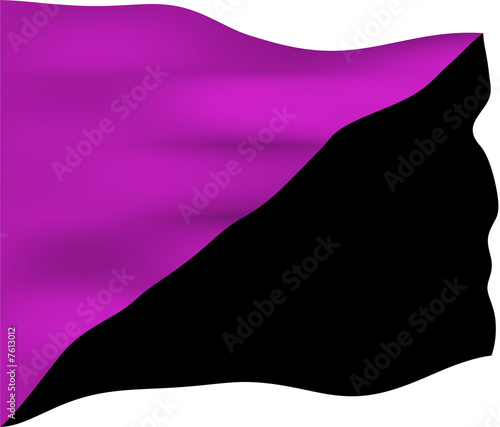 Illustration: Anarchist Feminism Flag Anarchist Feminism Flag