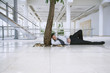 Businessman Sleeping under Tree