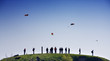 Kites