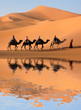 Camel Caravan in the Sahara Desert