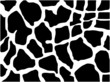 vector - giraffe texture Black and White vector - giraffe texture Black and White