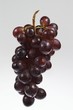 the bunch of grapes