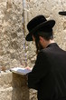 Praying Hasid