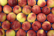 Pèches au marché dans un cageot Pèches au marché dans un cageot