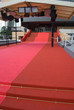 celebres marches du palais ,cannes