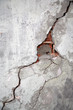 Crack on a wall of an old building