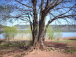 Au bord du Salagou Au bord du Salagou