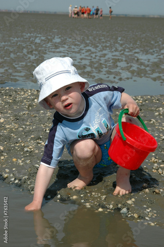Junge beim Muscheln sammeln Junge beim Muscheln sammeln