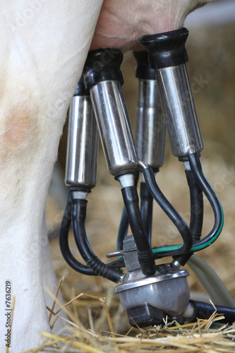 milking machines
