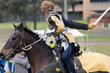 Warrior On His Horse
