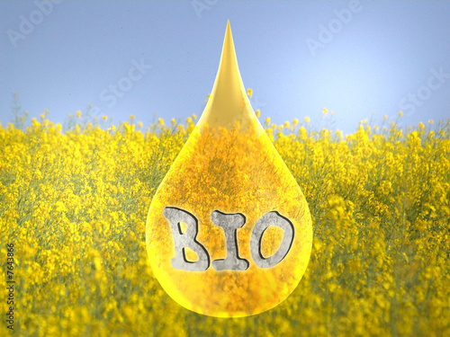 Bio-Diesel