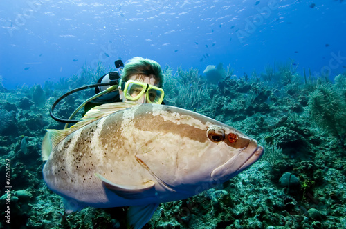 Foto: Diver interacting with grouper Diver interacting with grouper
