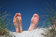 Happy feets
