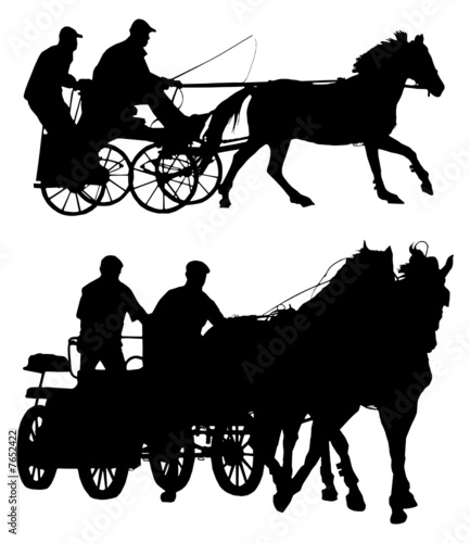 carriage #3