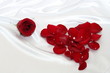 Red Heart over white silk Red Heart over white silk