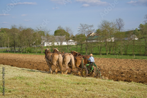 Photo: Plowing with Horses Plowing with Horses