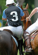Polo -corps à corps