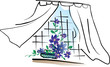 Vector: window with Clematis window with Clematis
