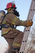 Climbing the Ladder for success