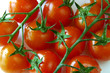 Cherry Tomatoes