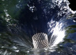 water sprayer