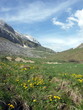 le printemps en montagne
