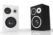 White and black loudspeaker  