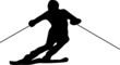 Skifahrer
