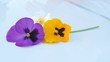 Blumen auf Auto