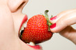 Red healthy bite