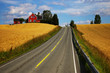Rural road Rural road