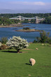 Menai Bridge