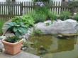 Schöner Gartenteich
