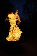 Feuergeist - Fireghost 