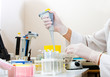Research in laboratory