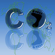 Carbon footprint of the world