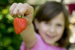 Girl holding a strawberry