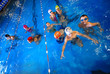 Foto: .happy swimmers .happy swimmers