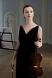 The beauty violinist in concert hall The beauty violinist in concert hall