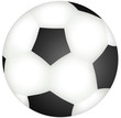 pallone da calcio
