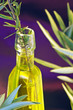 Aceite del Olivo y romero