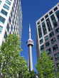 CN Tower Toronto