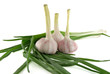 Garlic and green onion