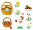 Mushrooms, berries and flowers