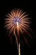 Multicolored fireworks exploding in night sky