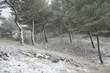 Paysage d'hiver 