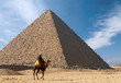 Bedouin on camel near of great egypt pyramid