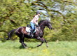 Foto: Speed Speed