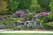 Flowering Japanese garden Flowering Japanese garden