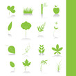 Green leaf icon set